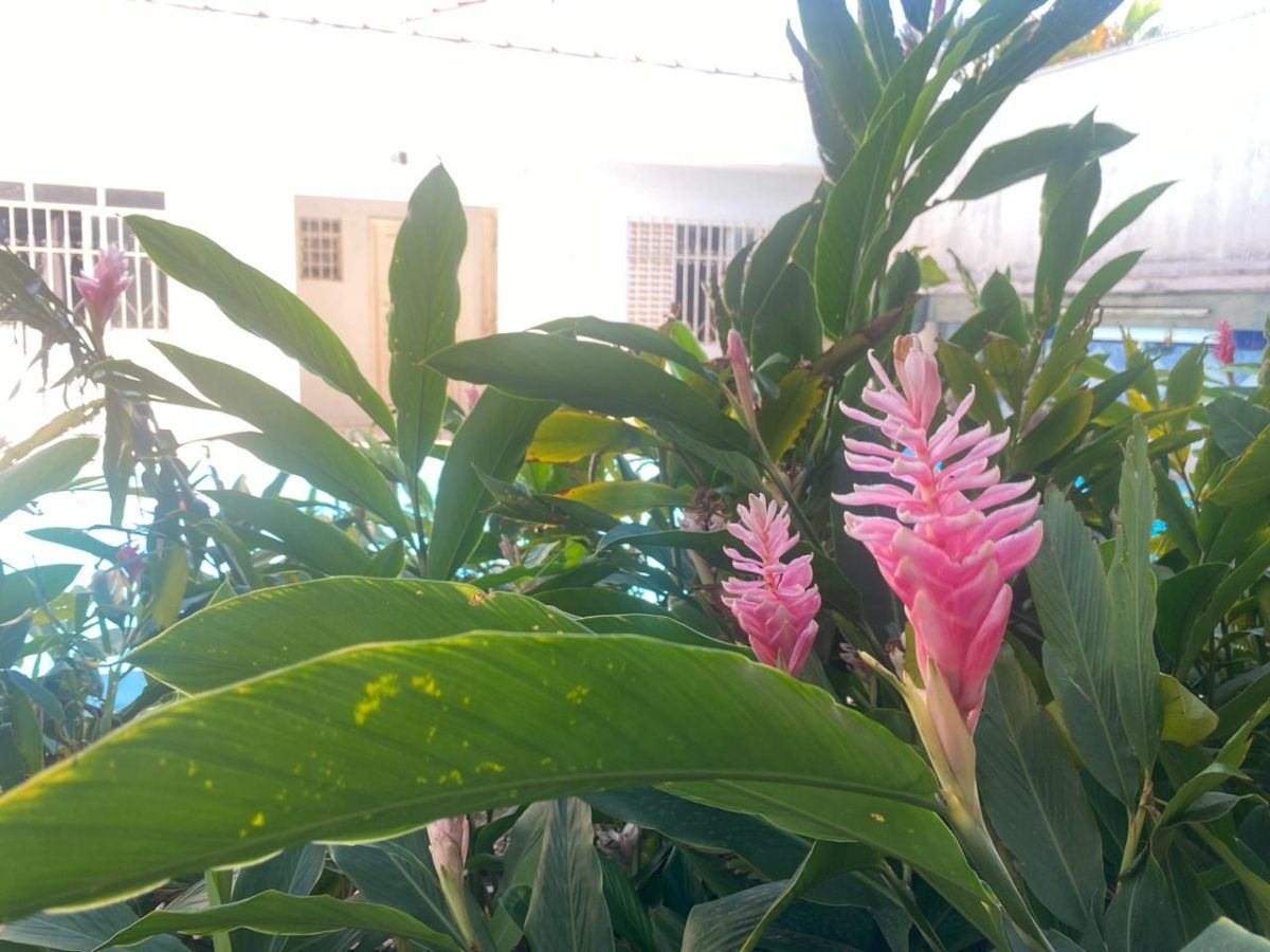 🏡 Studio moderno para aluguel em Cuiabá – MT — 2